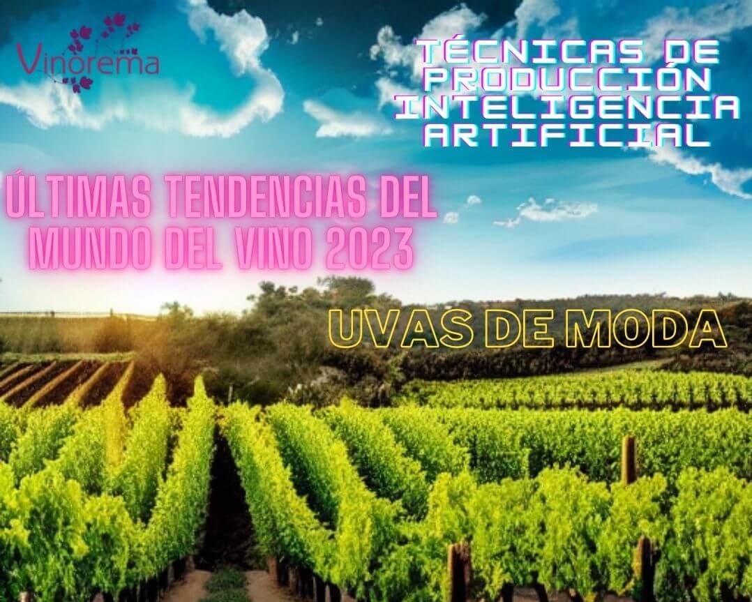 Tendencias en el mundo del vino en el 2023